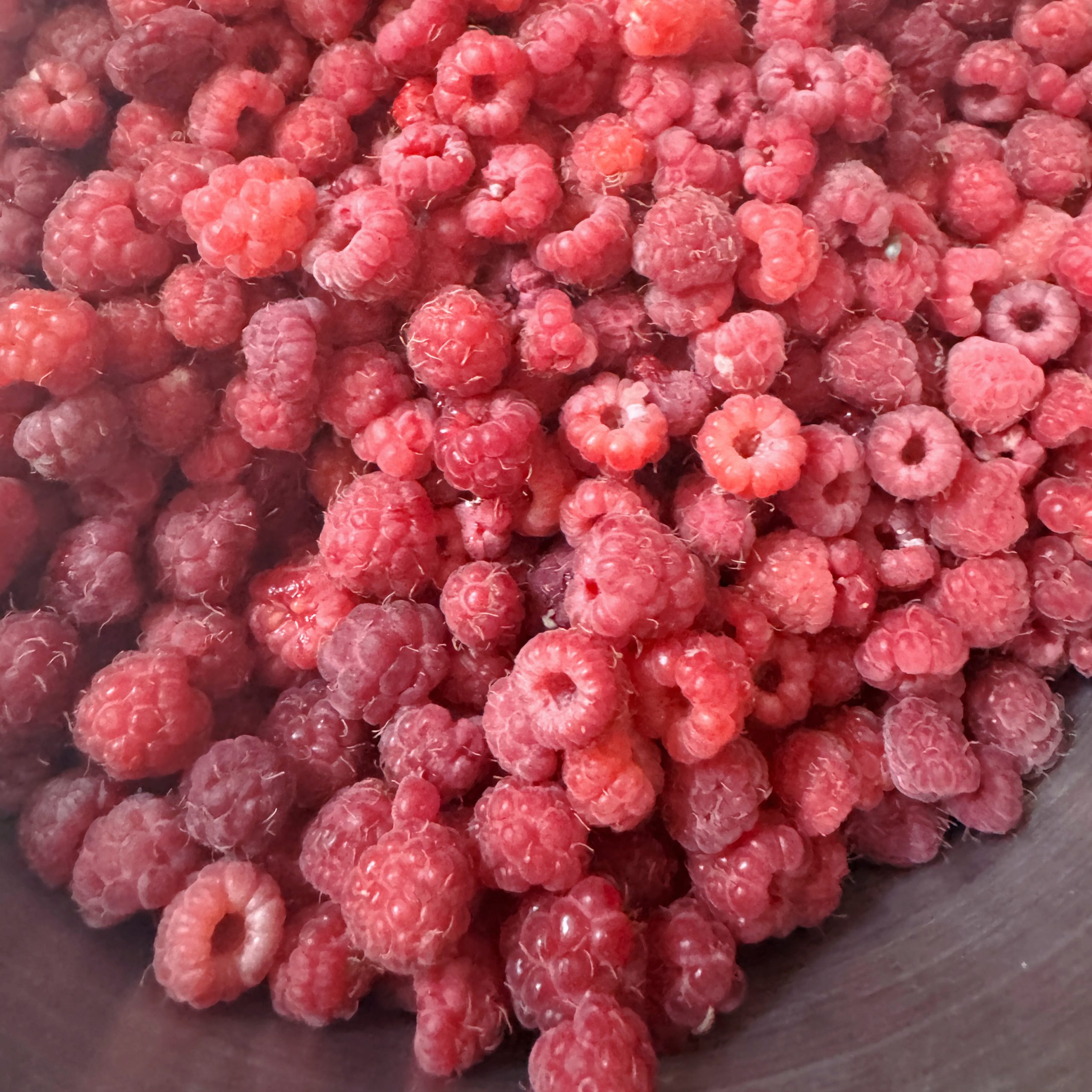 Wild raspberries in the mountains of Haute-Provence