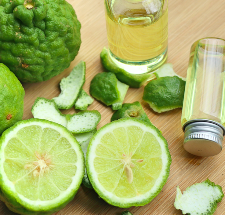 Fresh bergamots, citrus peels and aromatic oils inspiring the Bergamot Scented Candle