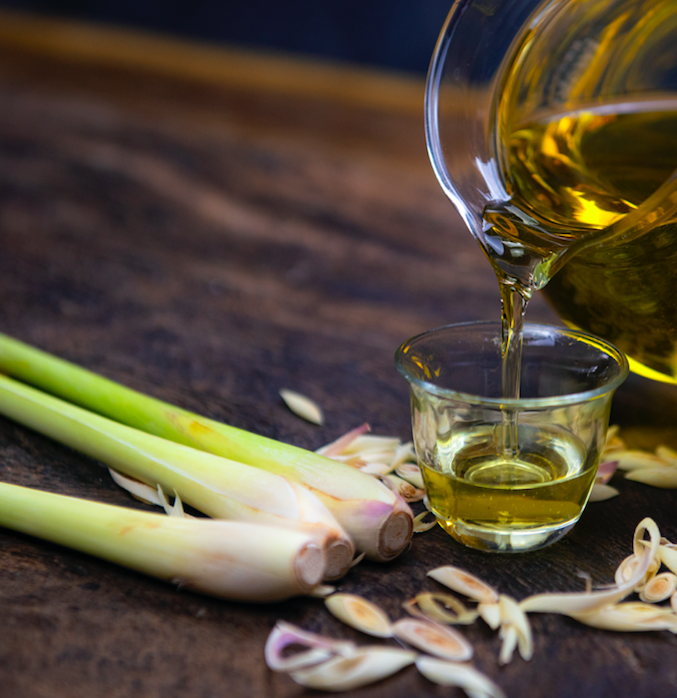 Fresh citronella stalks and botanical oil inspiring the Citronella Scented Candle