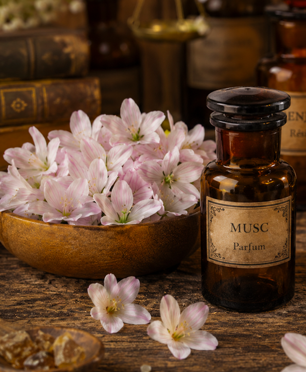 White flowers, benzoin resin and apothecary bottles inspiring the Musk Scented Candle