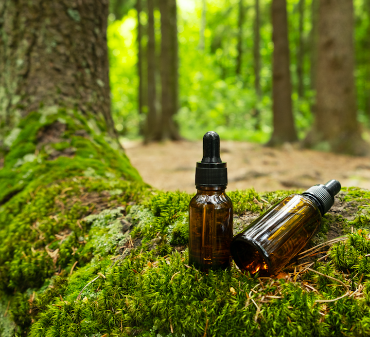 Ancient woodland and mossy forest floor inspiring the Druidic Forest Scented Candle