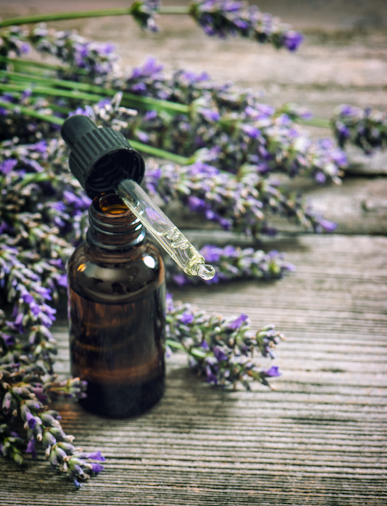 Bottle of lavandin essential oil and lavender stems inspiring the Lavender scented candle